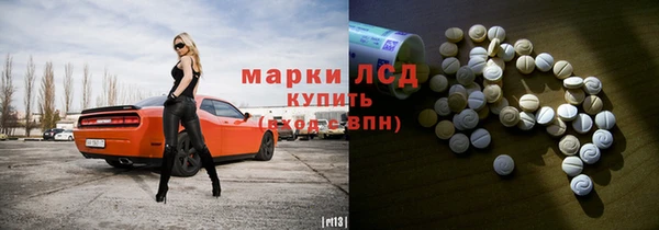 стаф Алзамай