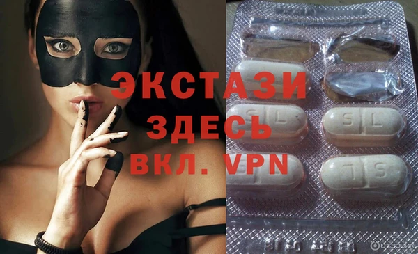 стаф Алзамай