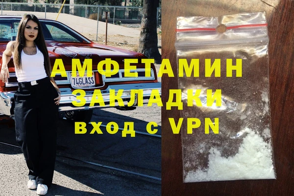 стаф Алзамай